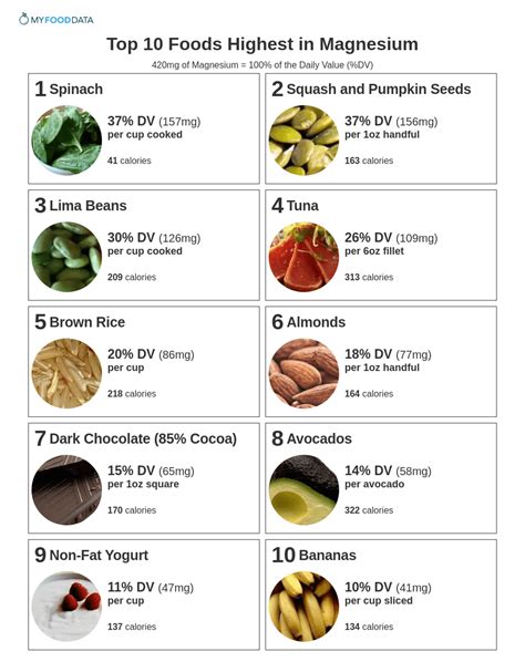 Printable Magnesium Rich Foods Chart