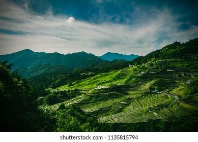 Maruyama Senmaida Rice Terraces Mie Japan Stock Photo 1135815794 ...