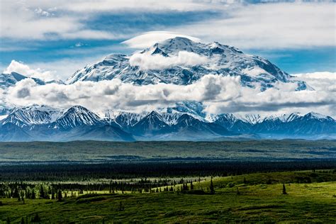 FeedbackBliss: Denali National Park Alaska