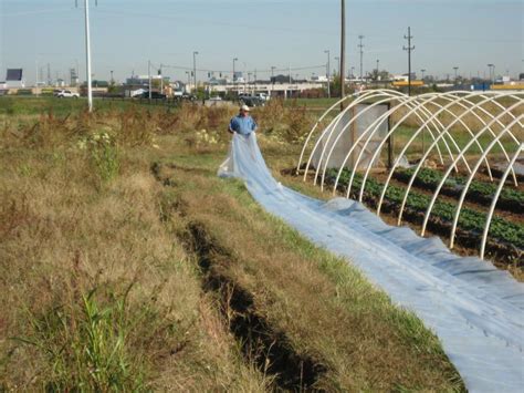 Low Cost High Tunnel Construction - HighTunnels.org