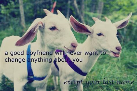 babygoatsandfriends | Goats, Animals, Goat farming