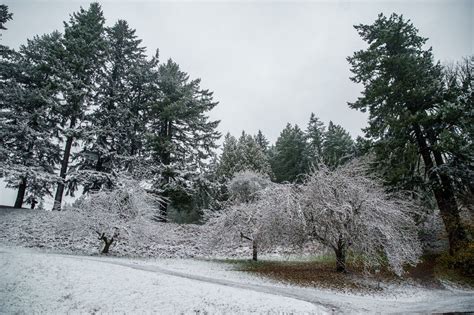 Portland Monday weather: Snow is gone, replaced by partly sunny skies ...