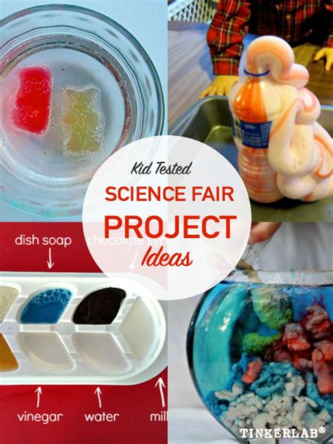 Science Fair Project Ideas - TinkerLab