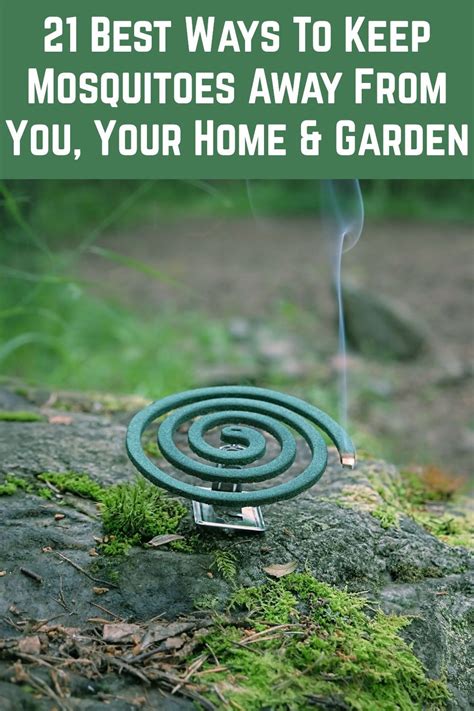 21 Best Ways To Keep Mosquitoes Away From You, Your Home & Garden ...