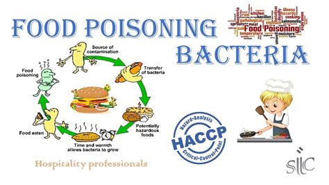 Bacteria In Food