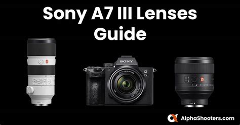 The Best Lenses for the Sony A7III in 2024 - Alpha Shooters