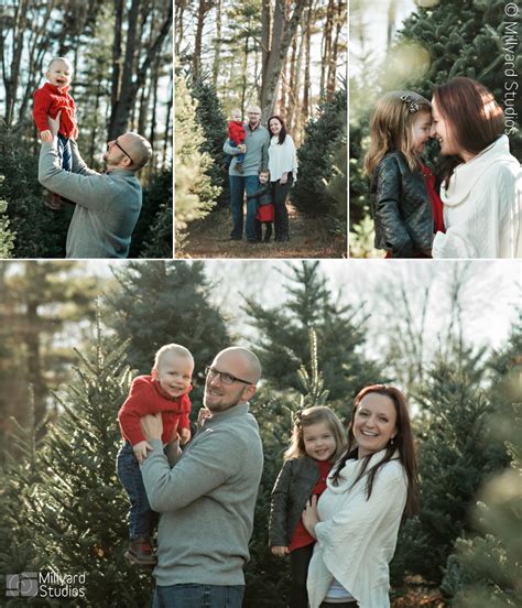 Christmas Tree Farm Photographer New Hampshire | Millyard Studios