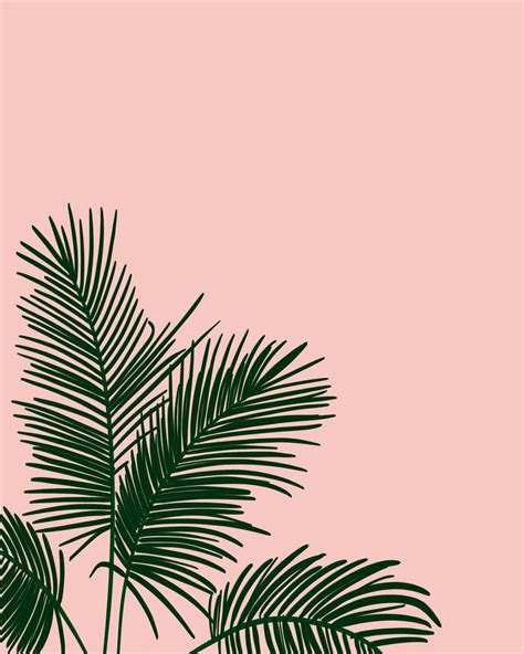 Fronds In Low Places - Pink | Pastel pink wallpaper, Flower phone ...