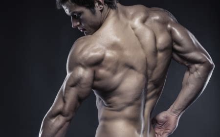 How To Build Giant-Sized Horseshoe Triceps | Muscle & Strength