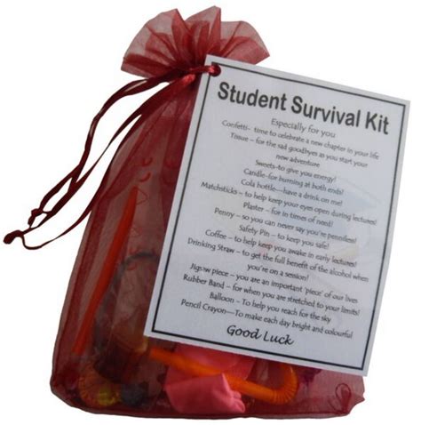 Student Survival Kit - A great novelty gift | Student survival kits ...