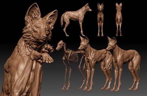 ArtStation - Maned Wolf anatomy study (WIP), Chunlin Yang