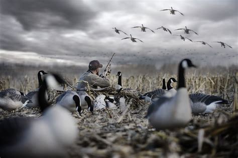 Duck Hunting Wallpaper By Gabriella Young 2018 | Hunting wallpaper ...