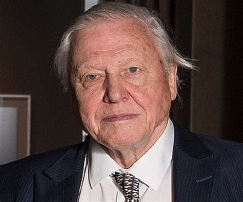 David Attenborough Biography - Childhood, Life Achievements & Timeline