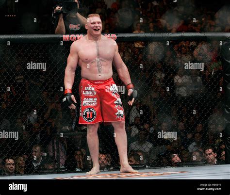 UFC fighter Brock Lesnar during his fight with Shane Carwin at UFC 116 ...