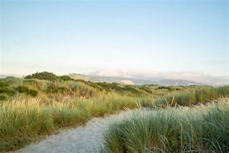 15 IRRESISTIBLE Oregon Coast Beaches to Explore This Summer