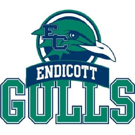 Endicott College Men's Soccer Elite 100 Just Play Residential Camp