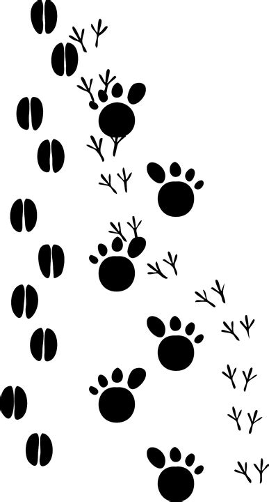 Footsteps Tracks Footprint · Free vector graphic on Pixabay