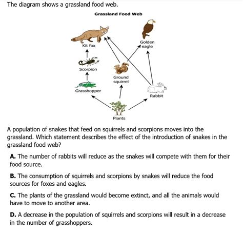 Solved The diagram shows a grassland food web. A population | Chegg.com