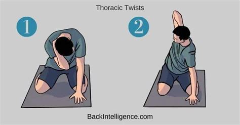 Rhomboid Muscle Pain Relief Exercises - Back Intelligence