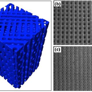 SEM images showing cross sections of a bioactive glass (13-93 ...