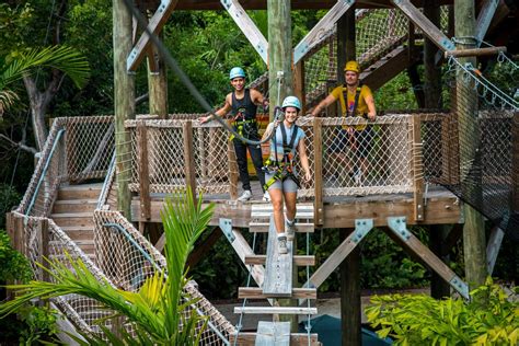 The Trekking Group - Jungle Island Aerial Park and Treewalk Village