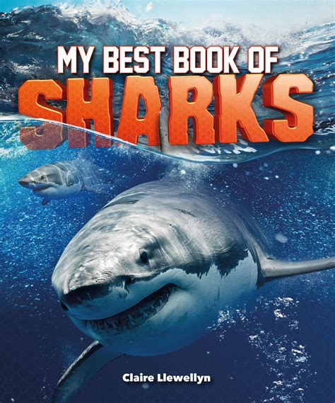 My Best Book of Sharks - Walmart.com