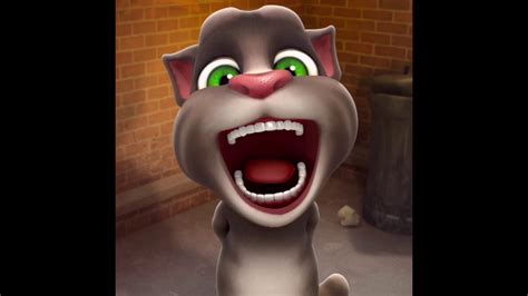 Funny Talking Tom Memes For Kids