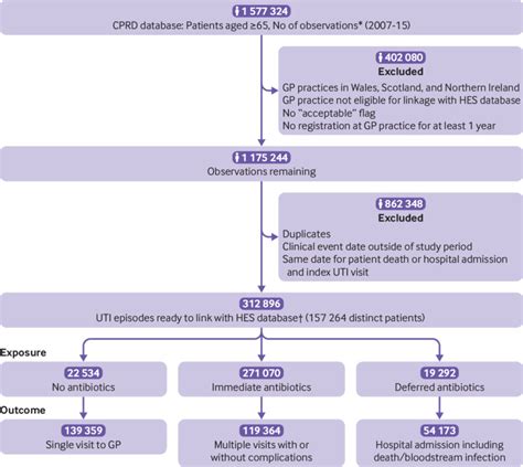 Antibiotics For Pseudomonas Aeruginosa Uti - Carpet Vidalondon