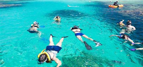 Great place to Snorkel in Roatan | Western caribbean, The great ...