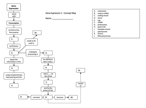 Solved Gene Expression Gene Expression 1 - Concept Map | Chegg.com