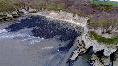 Wavecut platform at Flamborough - Internet Geography