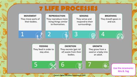 Living Things_7 Life Processes_Gr.4_Term 1_NS • Teacha!