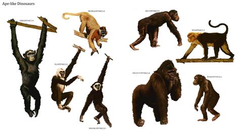 Pin on Evolution of Mammals