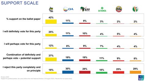 Ipsos 2024 Election South Africa - Vida Allyson