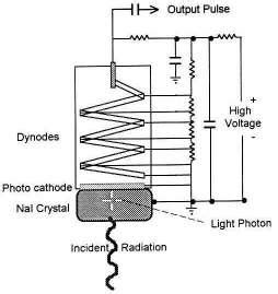 4: Schemed diagram of photomultiplier tube [6] | Download Scientific ...