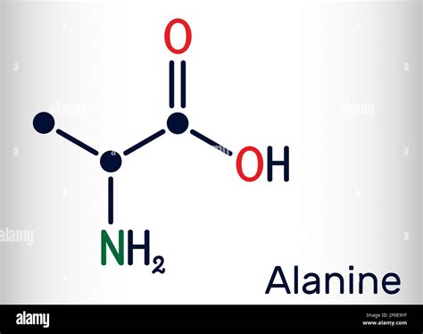 Alanine, L-alanine, Ala, A molecule. It is non-essential amino acid ...