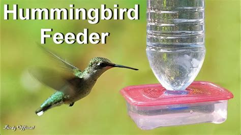 DIY Hummingbird Feeder Homemade – How To Make A Hummingbird Feeder From ...