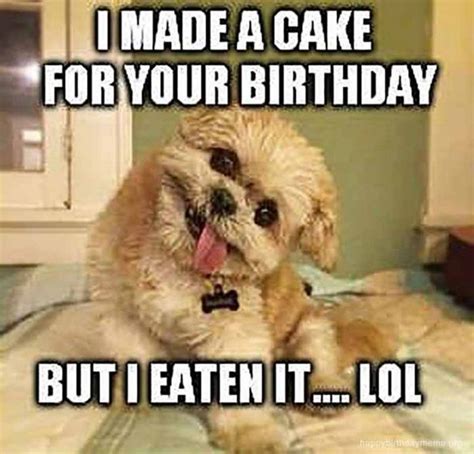 Happy Birthday Dog Meme, Happy Birthday Sister, Happy Birthday Images ...