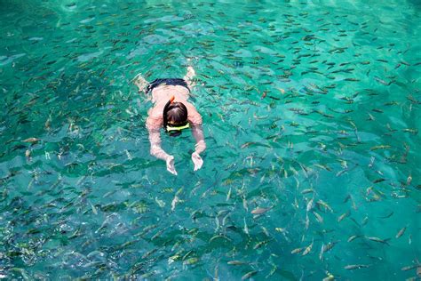 10 Best Snorkeling Spots in Phi Phi - Where to Snorkel Around Koh Phi ...