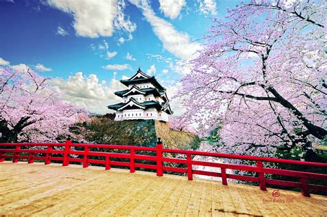 10 Best Cherry Blossom Spots in Japan - Where to View Japan's Cherry ...