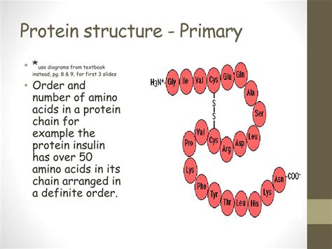 PPT - Protein structure - Primary PowerPoint Presentation, free ...