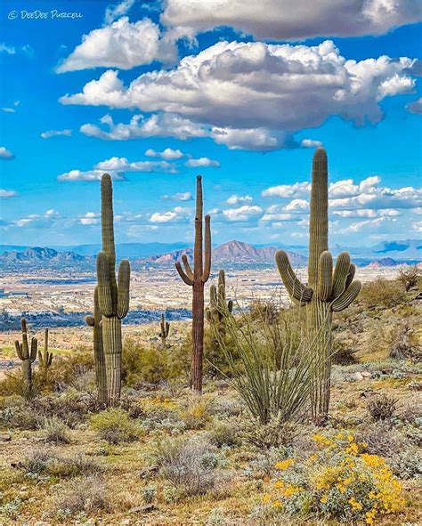 Arizona's Instagram Community on Instagram: “presents a featured photo ...