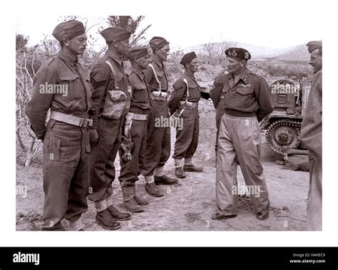 Bernard montgomery el alamein Cut Out Stock Images & Pictures - Alamy