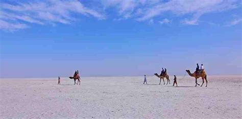 Rann Of Kachchh And Its Top 13 Interesting Facts | Location, History ...