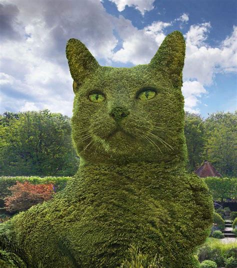 The Topiary Cat | Beautiful cats, Cat garden, Topiary garden