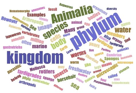 Kingdom Animalia - Different Phylum and their examples - Rs' Science