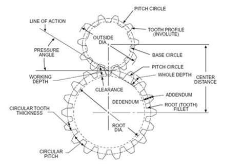 diagram of a gear - Green Lab