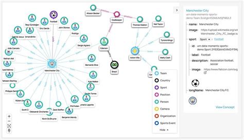 Knowledge Graph Visualization in Data Graphs