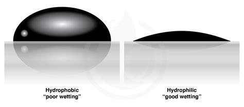 The Science of Hydrophobicity - IGL Coatings Blog