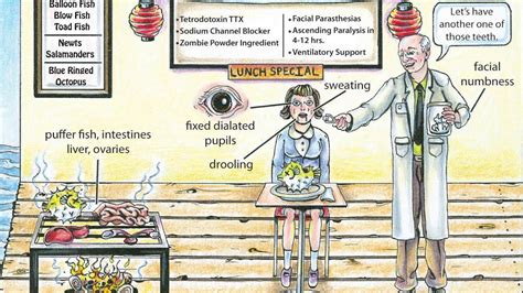 Tetrodotoxin - YouTube